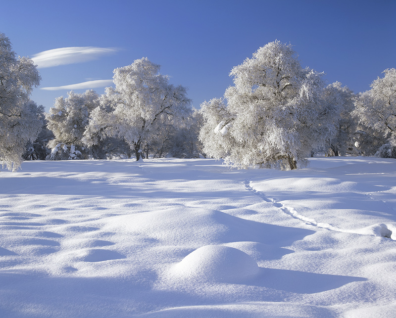 Snow Pillows