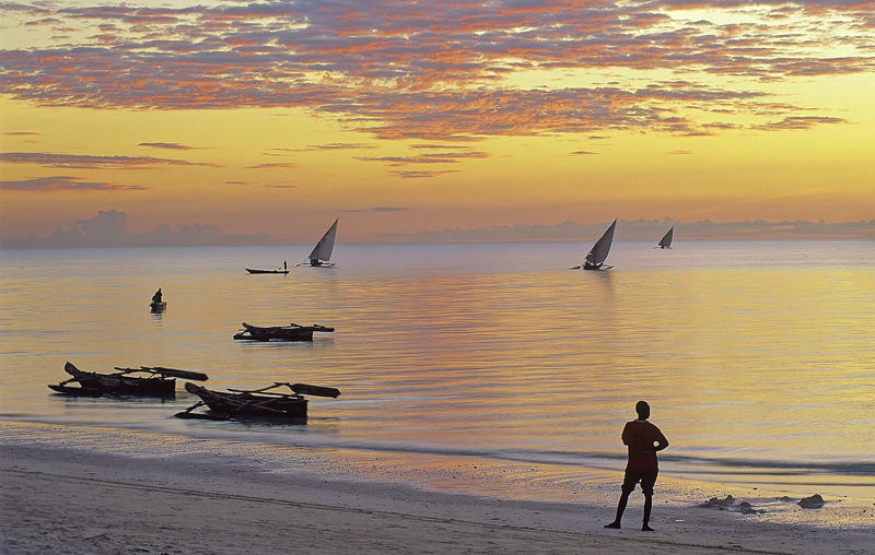 Zanzibar Dreaming