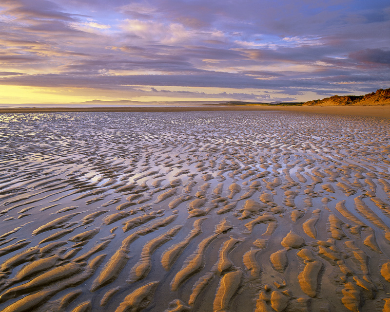 Ripples Lossiemouth