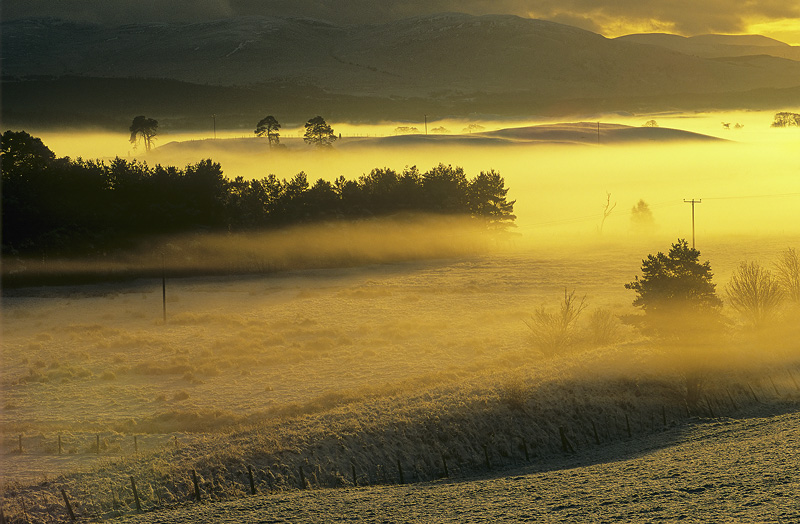 Spey Valley Mist