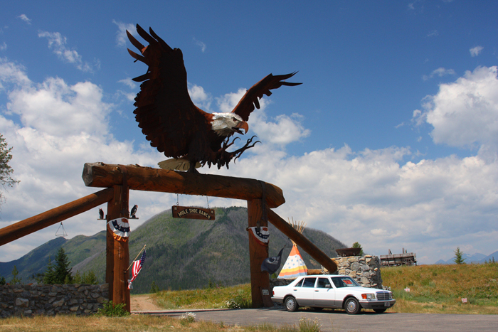 eagle.JPG