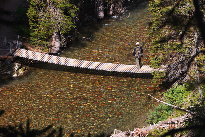 swinging bridge.JPG