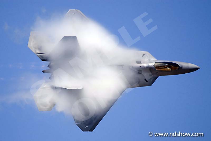 F-22 Raptor