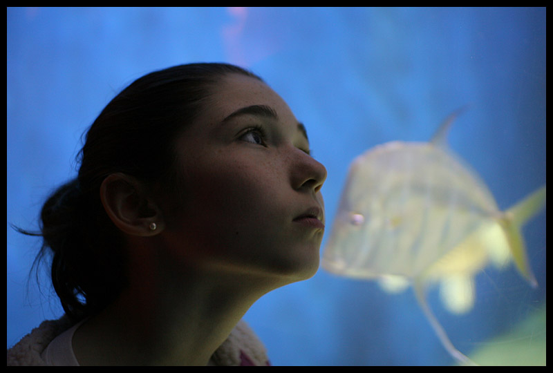 Be the Fish