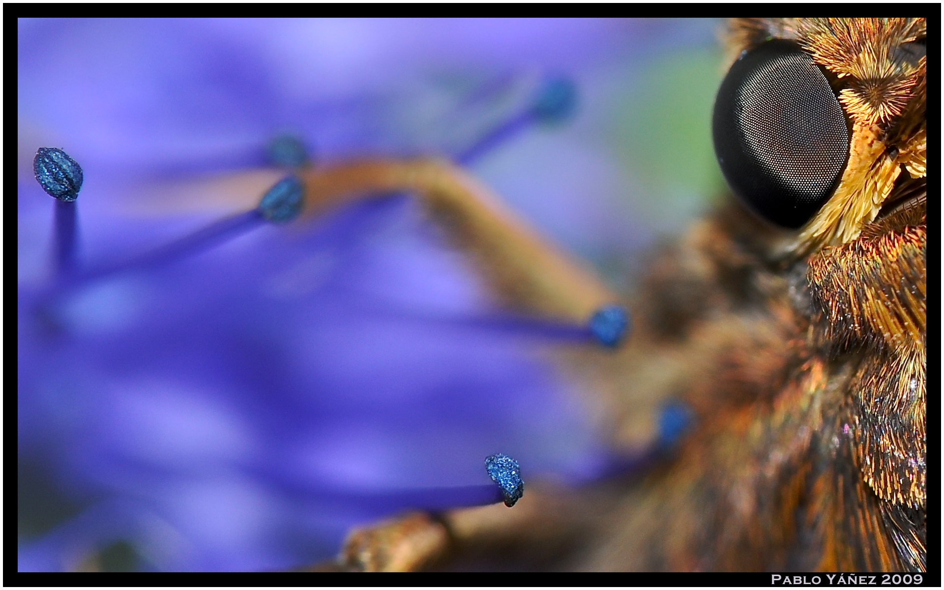 Crop of Image -- Center to Edge