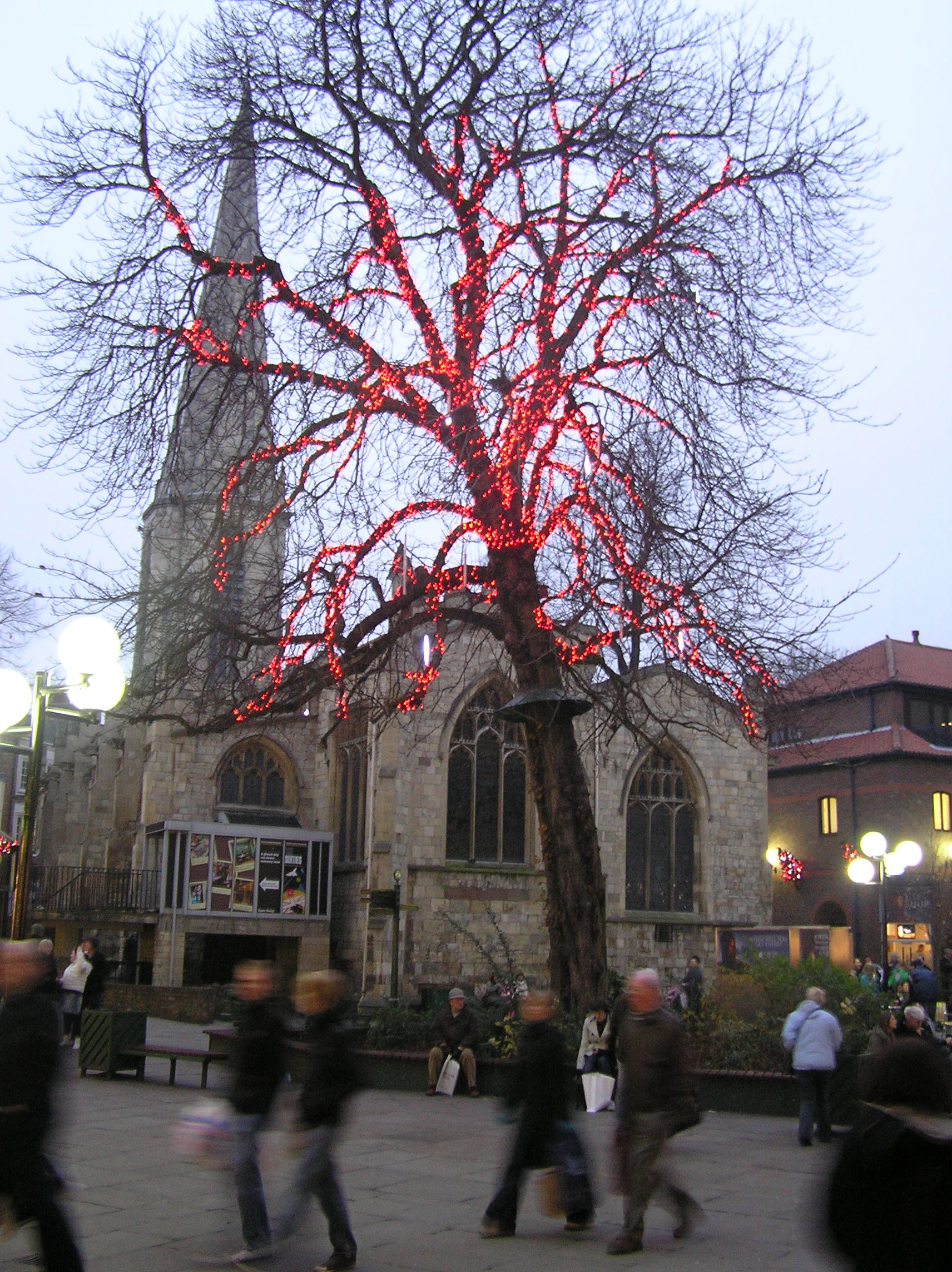 PC300082.JPG