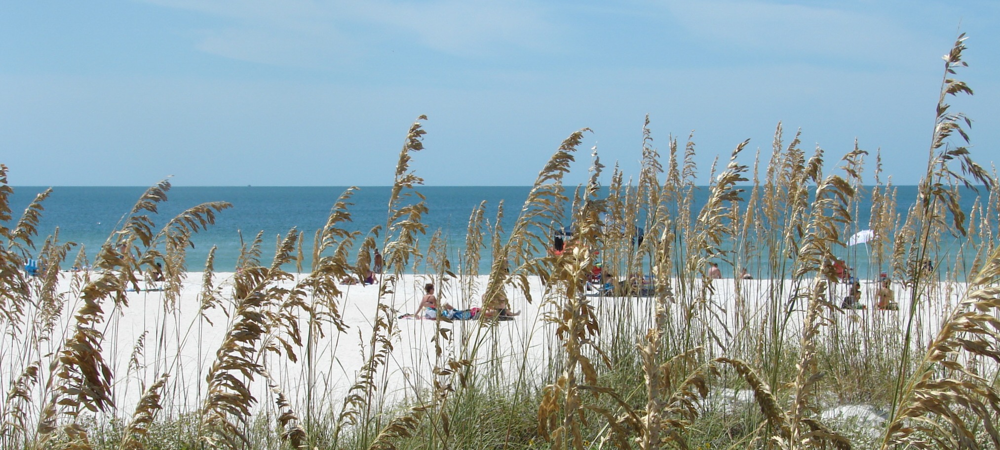 Clearwater 2010 024.JPG