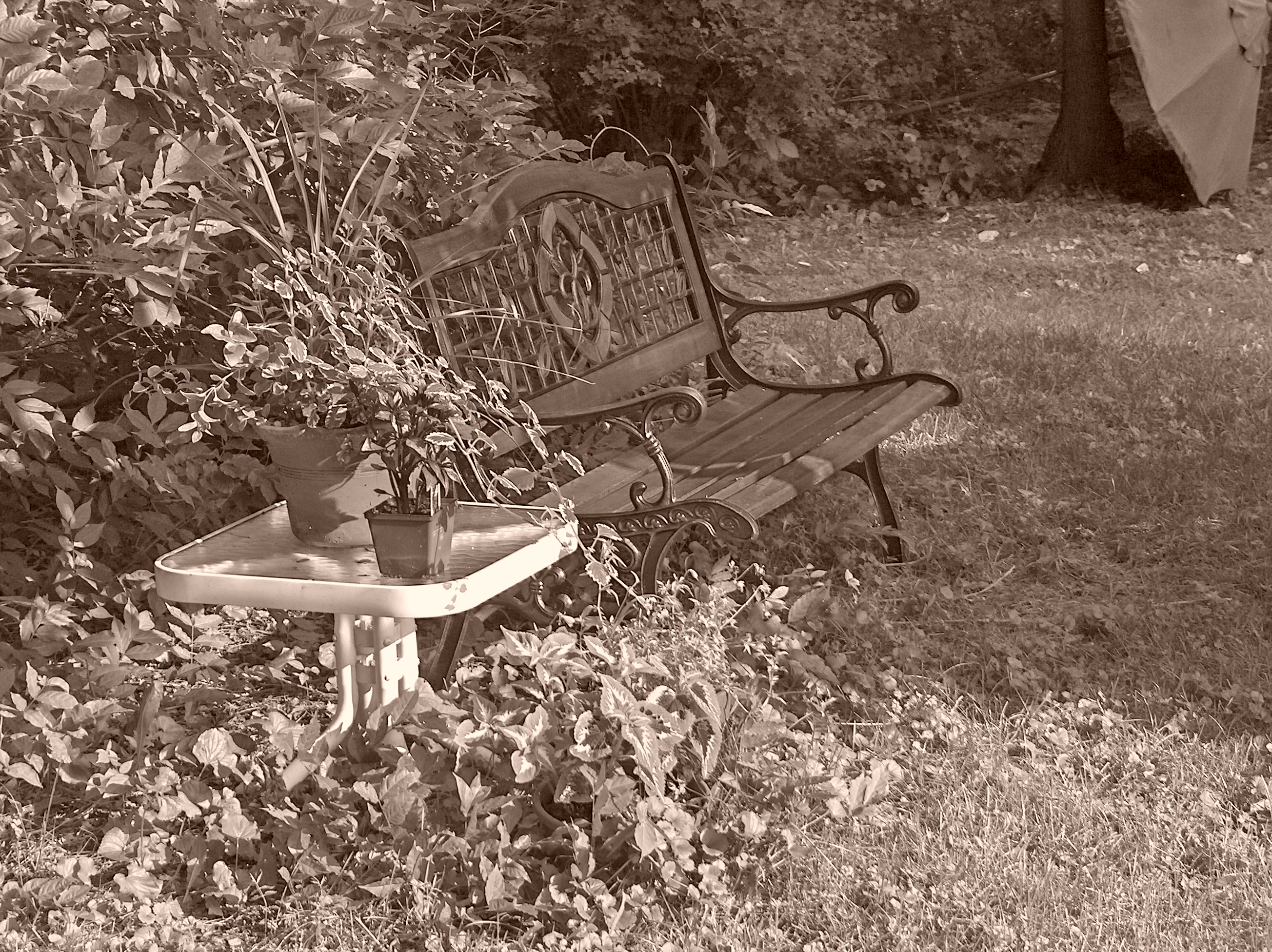 Park Bench in Black & White