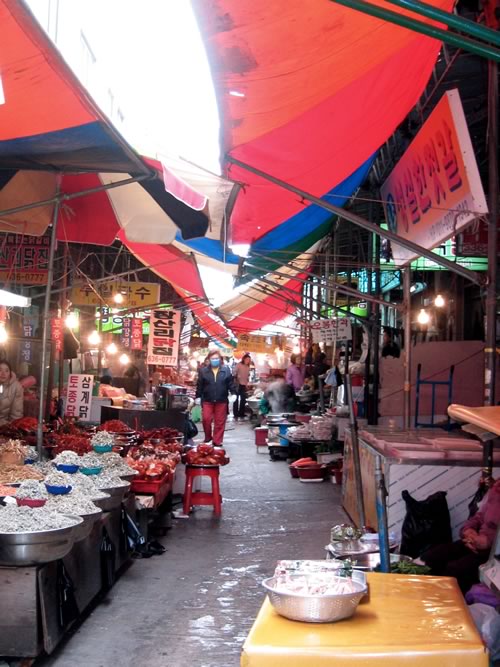 sokcho_fishmarket.jpg