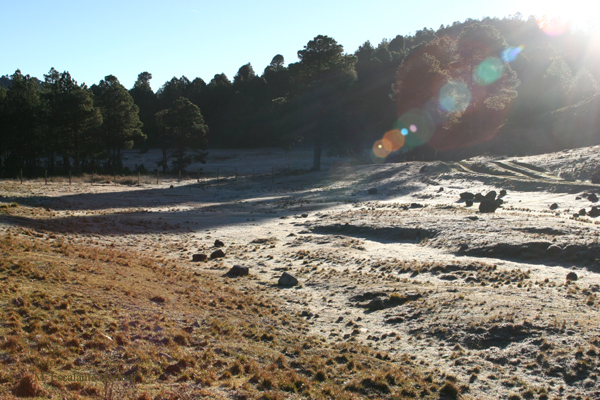 Escarcha en las Montaas al Amanecer (enero)