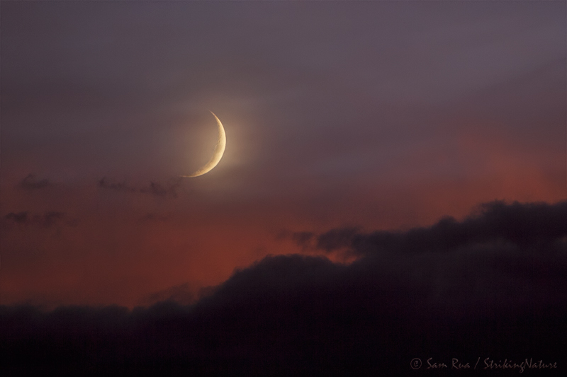 Monsoon Moon