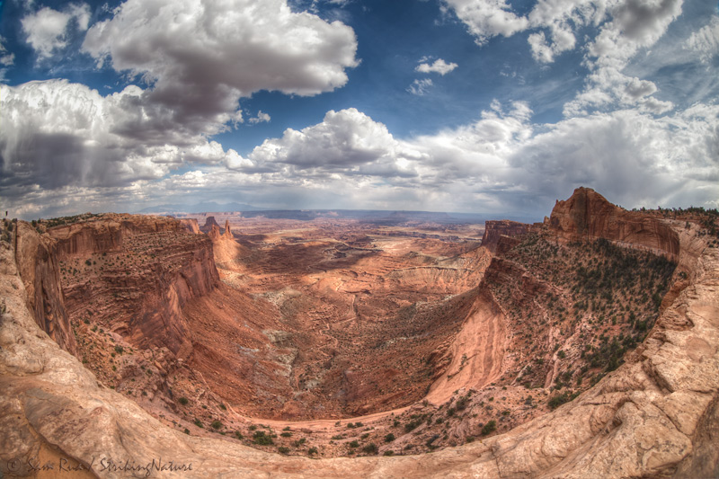 Mesa Arch Vista