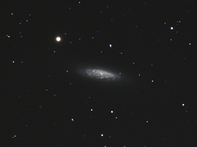ngc 6503