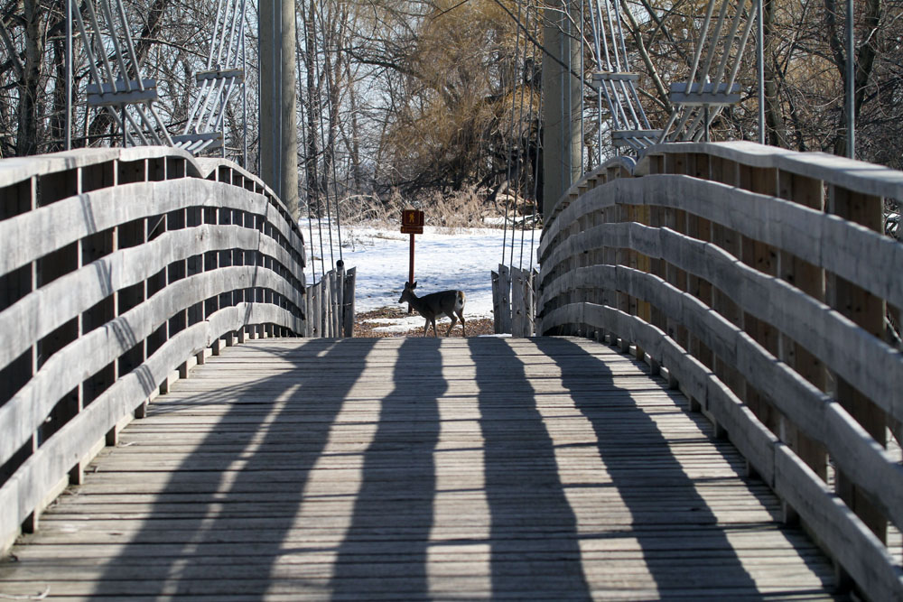 2011 03 30_0083--PONT-1000.jpg