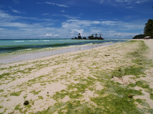 Bora020.jpg