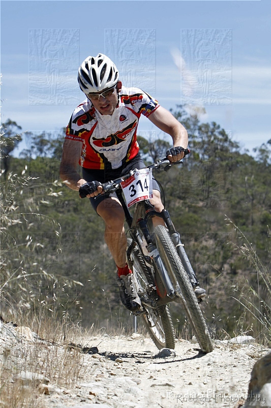 XC_8439