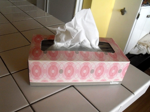 Sniffles