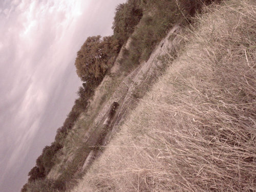 Long walk