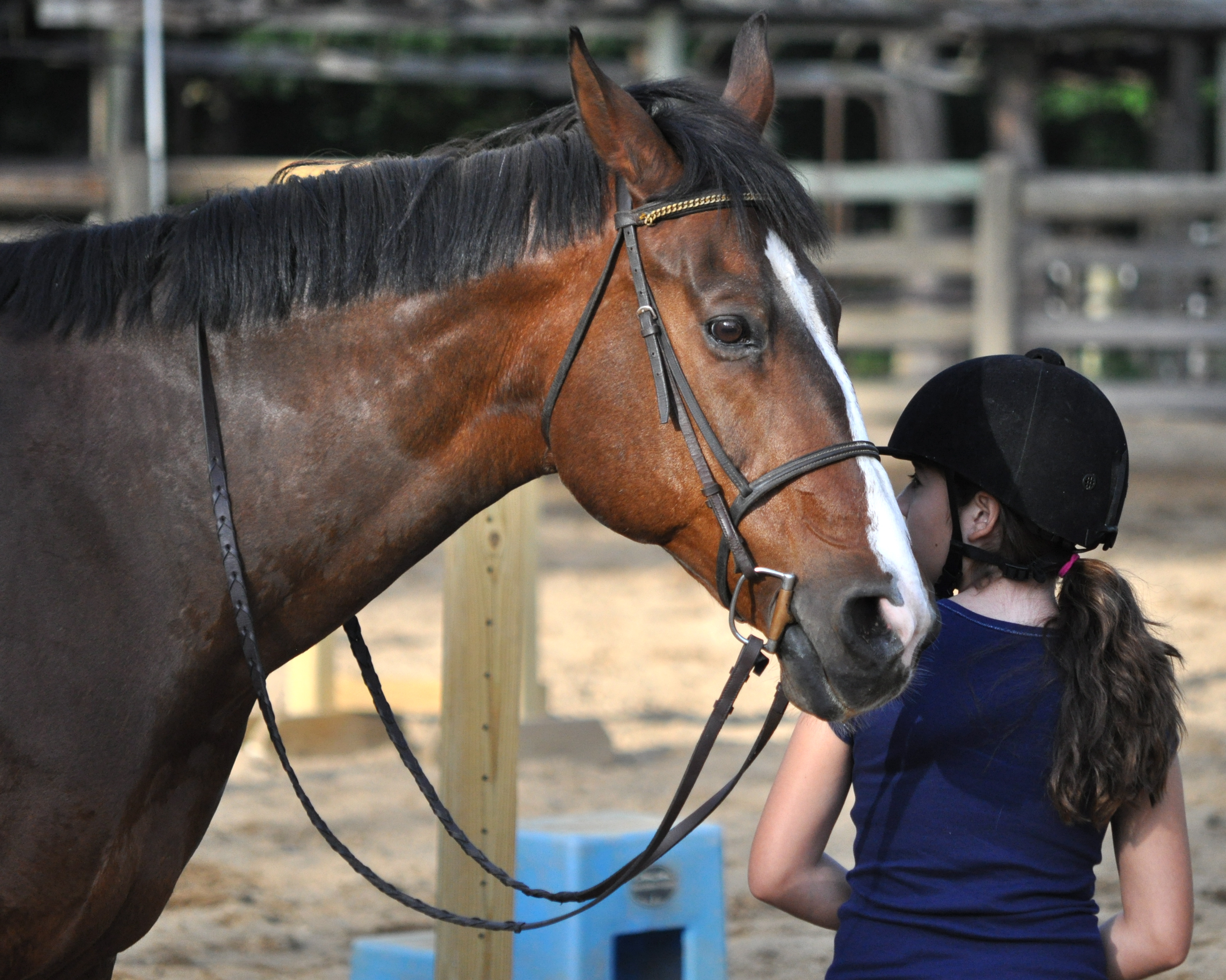 Horses and Little Girls