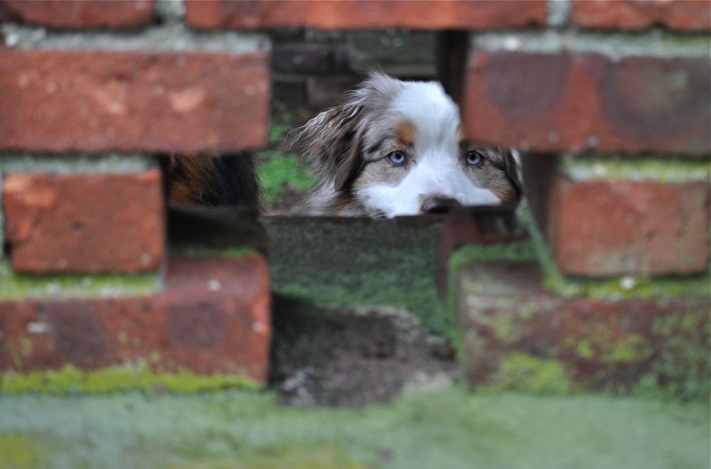 A Passing Glance