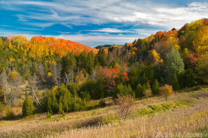 Fall Colors of Hockley Valley