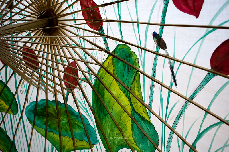 A painted umbrella; bird and lotus plant.
