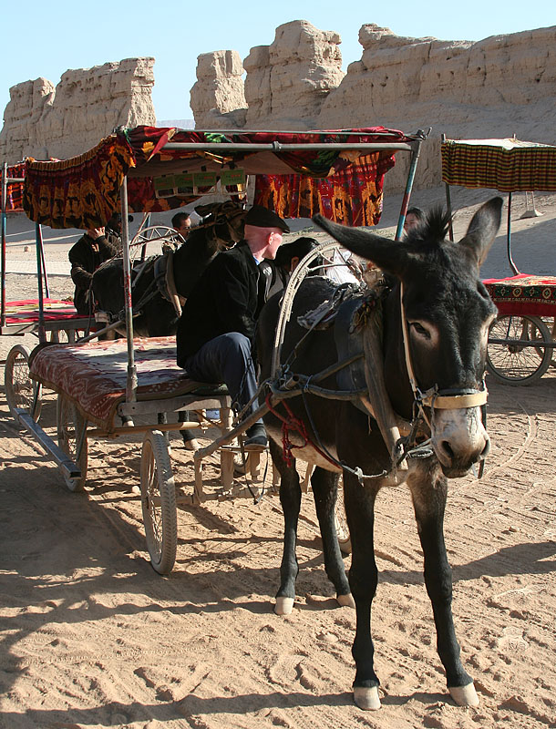 Our Donkey Cart (Oct 07)