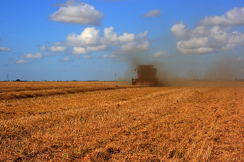 Harvest
