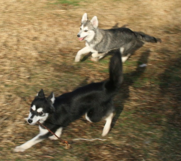Teeko and Cierra 122508 103.JPG