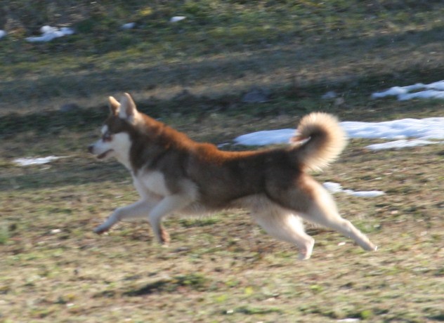 205.JPG