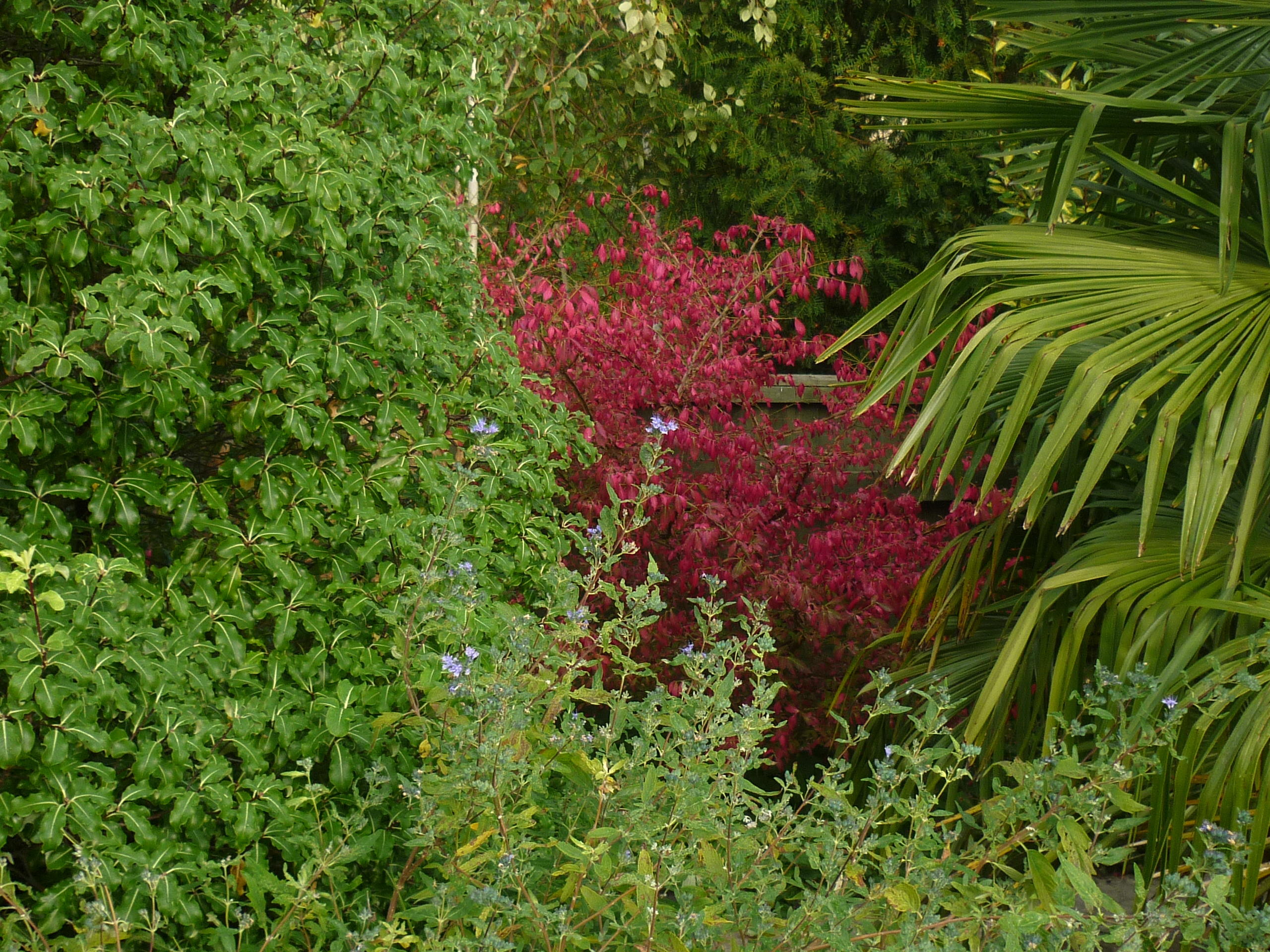 P1020842.JPG