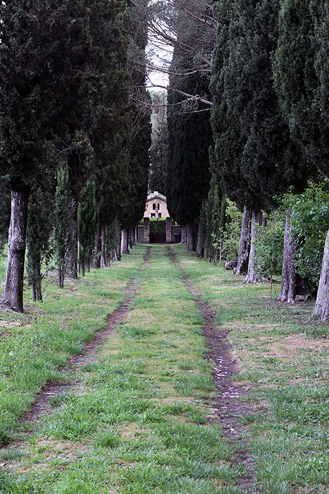 Tuscany, near Radi south of Siena along S34