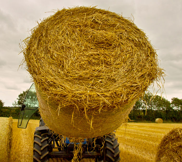 straw bale 