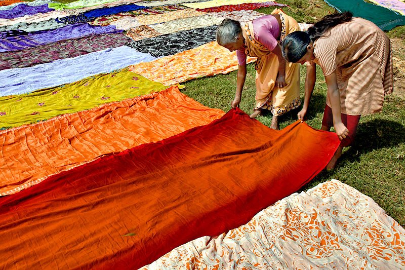 Lawn of colors