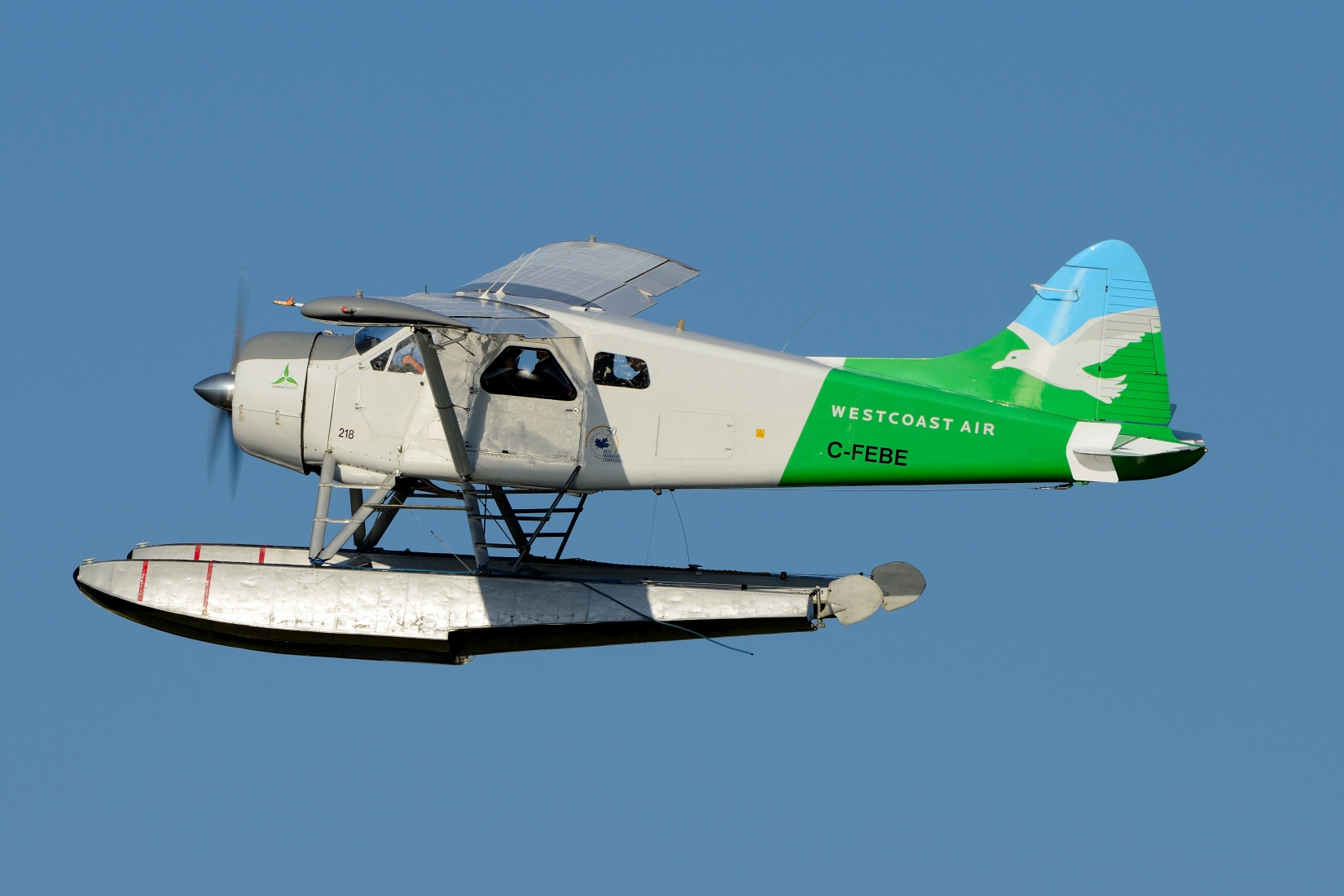 D80_0305.JPG