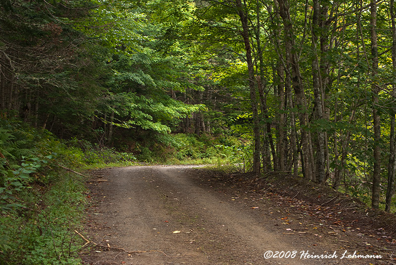 GP5193-Cape Breton Island.jpg