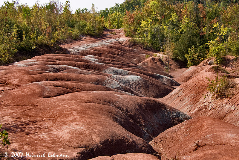 P4901-Ontario.jpg