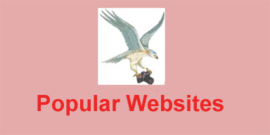 Popular Websites