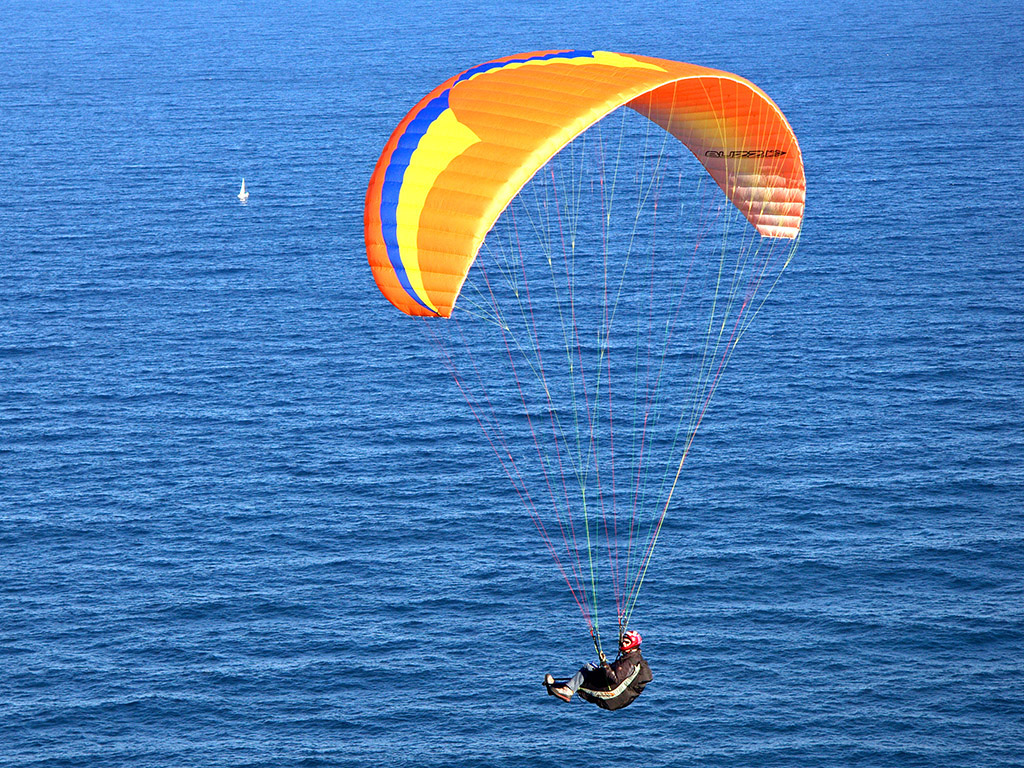 Riding High<p><big>*Credit*</big>