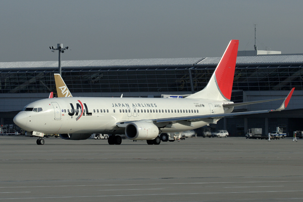 JAPAN AIRLINES BOEING 737 800 NGO RF IMG_5434.jpg