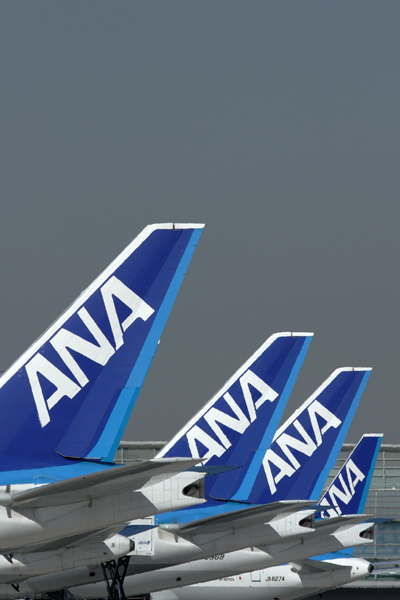 ANA TAILS HND RF IMG_5543.jpg