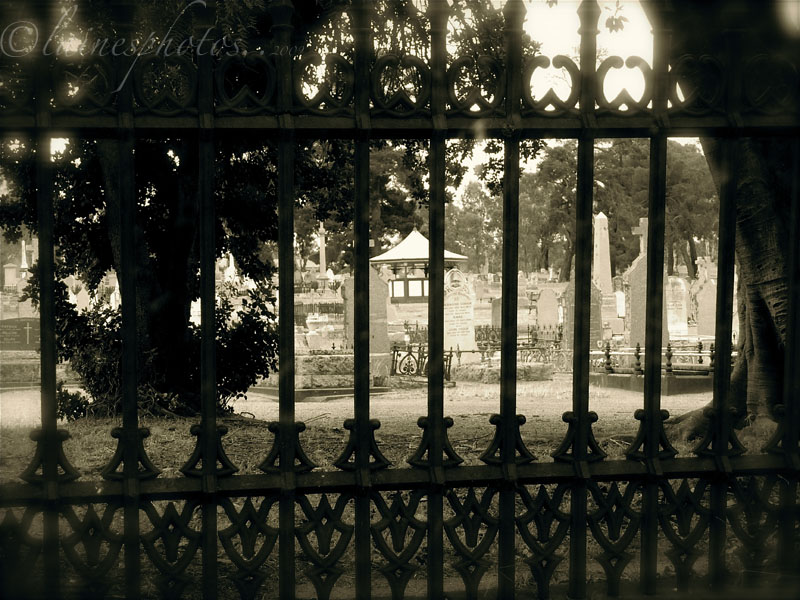  Bendigo White Hills Cemetery 