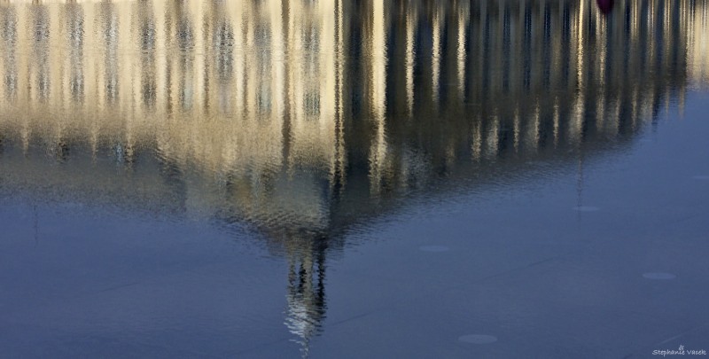 Reflection in Miroir deau