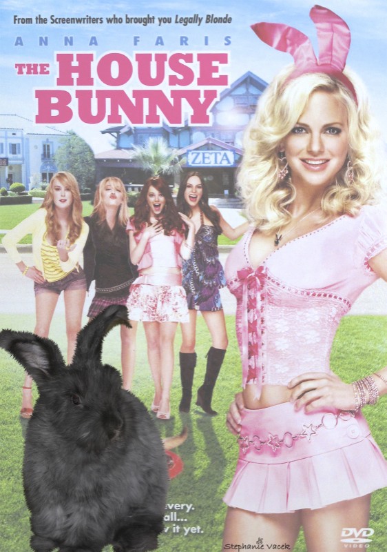 The House Bunny