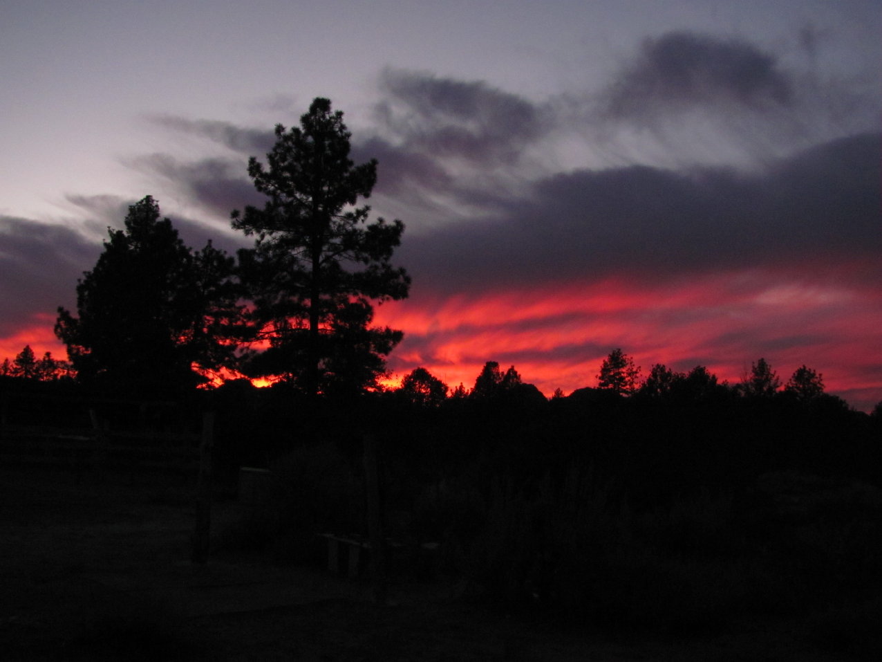 Gorgeous Sunset