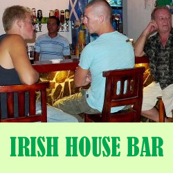 Irish House