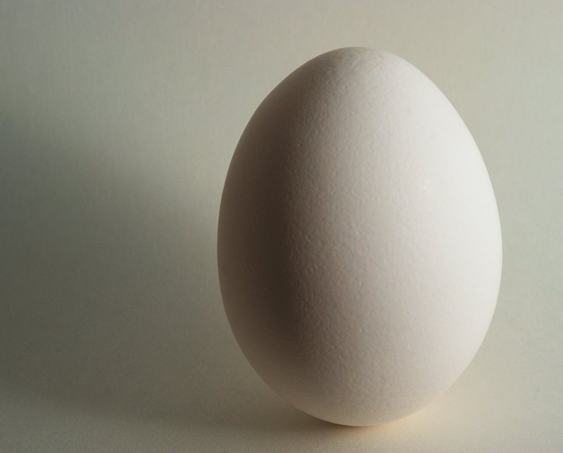DSC02807 - Simply  Egg