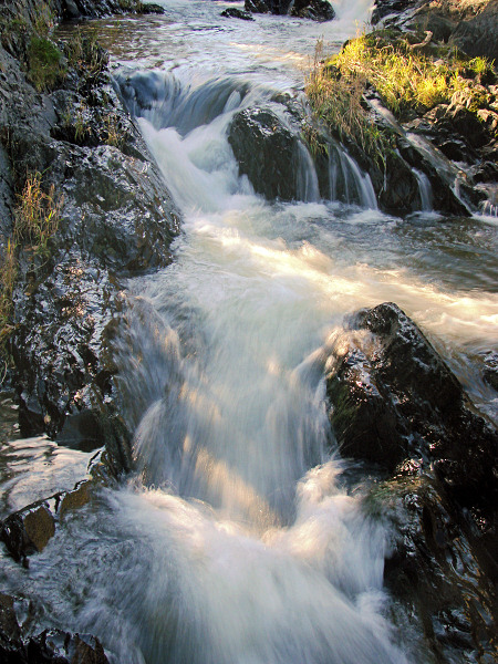 Bowering Park Waterfalls 035