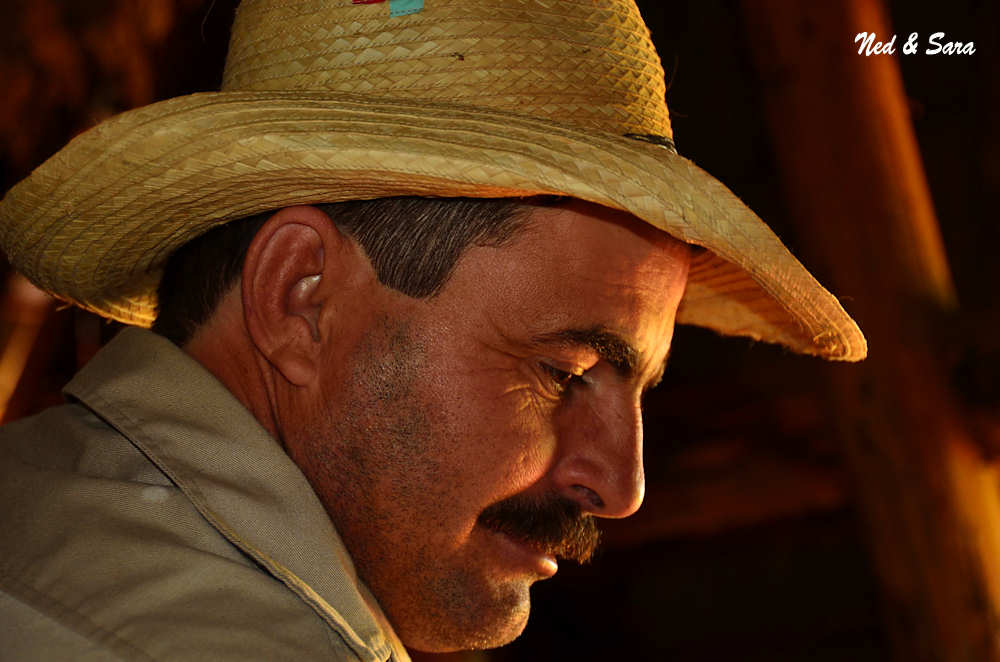 tobacco farmer