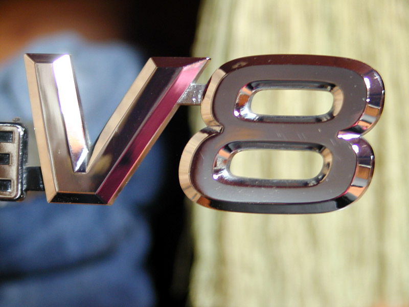 V8 LoGo - DaveM